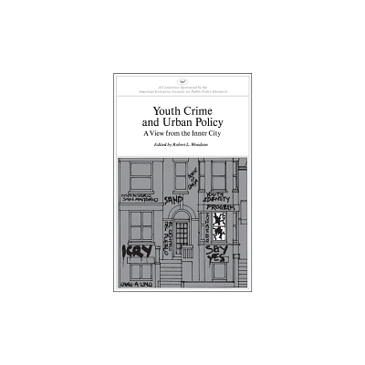 Youth Crime and Urban Policy: A View from the Inner City - (AEI Symposia) by Robert L Woodson (Paperback)