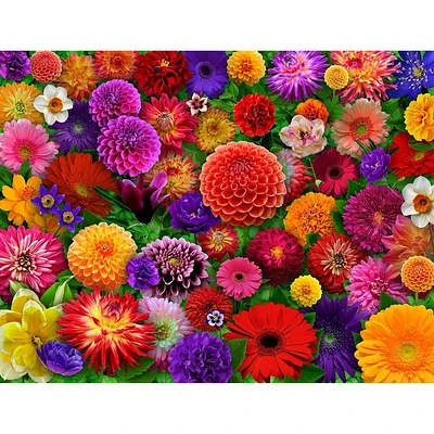 Blooming Every Daisy 500pc Jigsaw Puzzle