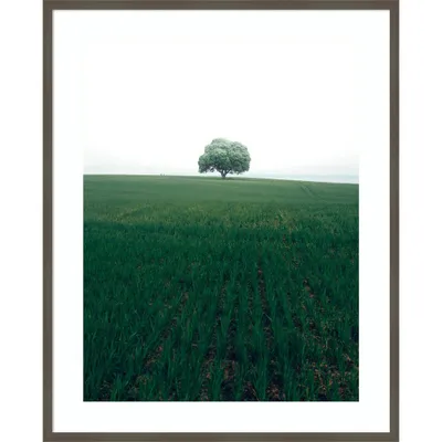 33 x 41 The Lonely Oak Tree by Christian Lindsten Wood Framed Wall Art Print - Amanti Art