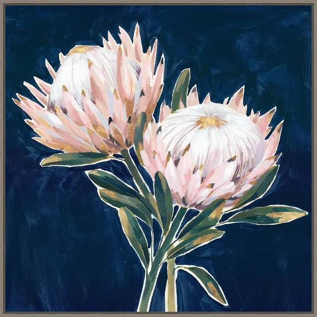 Amanti Art 16 x 16 Blooming King Protea by Isabelle Z Framed Canvas Wall Art  Amanti Art Connecticut Post Mall