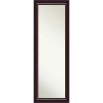 18 x 52 Non-Beveled Signore Bronze Wood on The Door Mirror - Amanti Art: Over-the-Door, Wall-Mounted