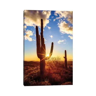 iCanvas 26x18x1.5 Sunset Saguaro National Park East V by Susanne Kremer Unframed Wall Canvas: Modern Style, Vertical Orientation