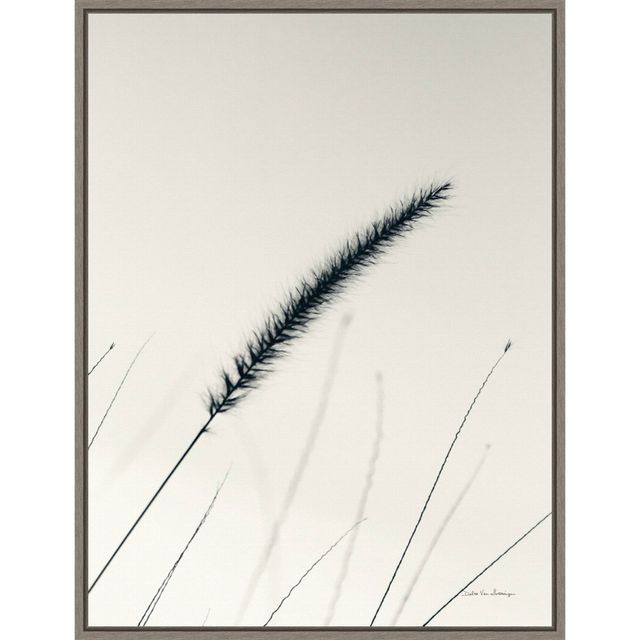 18 x 24 Field Grasses V by Debra Van Swearingen Framed Wall Canvas - Amanti Art: Modern Nature-Inspired Decor