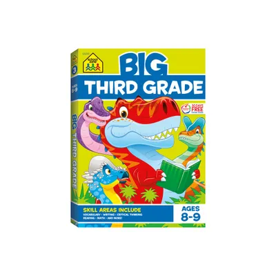 School Zone Big Third Grade Workbook - (Paperback)