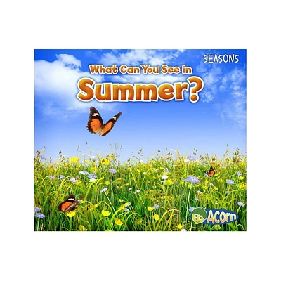 What Can You See in Summer? - (Seasons) by Sian Smith (Paperback)