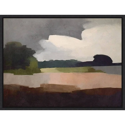 Amanti Art 30x23 Outback Drift by Urban Road: Modern Canvas, Black Frame, Botanical Landscape