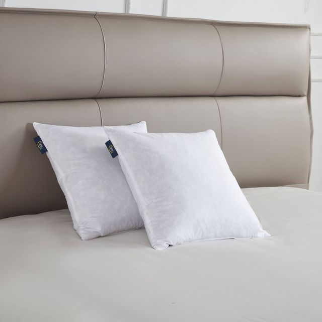 Serta 20x20 Medium/Firm 2pk Decorative Feather Pillow Insert: Euro Sham, Cotton Woven, 233 Thread Count