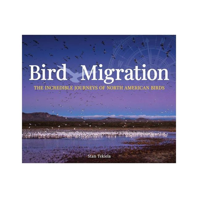 Bird Migration