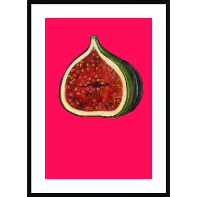 30 x 41 Fig by Sarah Thompsonengels Wood Framed Wall Art Print - Amanti Art: Modern Lithograph, Vertical Display