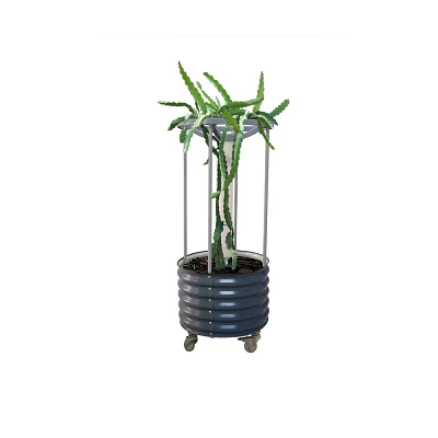 Vego Garden Self-Watering Rolling Dragon Fruit Outdoor Planter Pot with Trellis 24x24x60