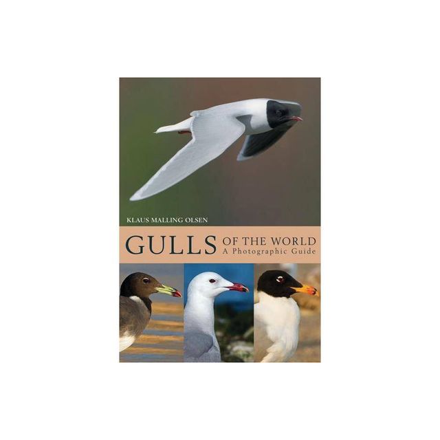 Gulls of the World - by Klaus Malling Olsen (Hardcover)