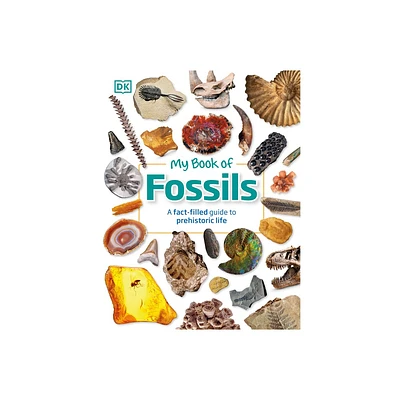 My Book of Fossils - by DK & Dean R Lomax (Hardcover)