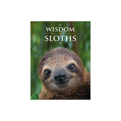 Wisdom of Sloths - by Lisa Purcell (Hardcover)