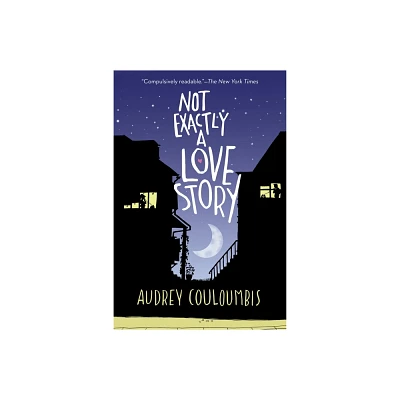 Not Exactly a Love Story - by Audrey Couloumbis (Paperback)