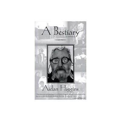 A Bestiary - (Irish Literature) by Aidan Higgins (Paperback)