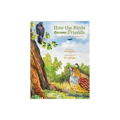 How the Birds Became Friends - by Noa Baum (Hardcover)