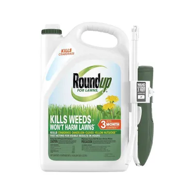 Roundup For Lawns Northern Ready to Use Extended Wand Herbicide - 1gal : Weed & Root Eliminator, 3-Month Control, Rainproof