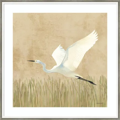 25 x 25 Egret Alighting II by Kathrine Lovell Wood Framed Wall Art Print - Amanti Art: Giclee Lithograph, Hardwood Frame