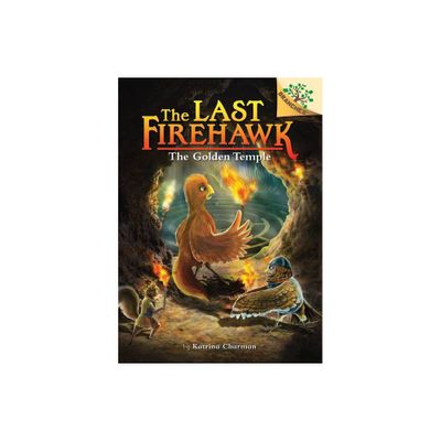 The Secret Maze: A Branches Book (the Last Firehawk #10