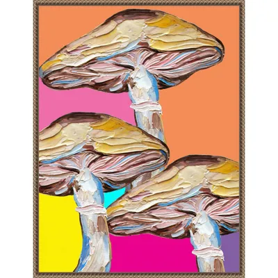 23x30 Colorful Mushrooms by Alice Straker Framed Canvas Wall Art Print Bronze - Amanti Art