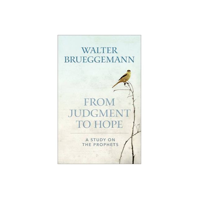 From Judgment to Hope - by Walter Brueggemann (Paperback)