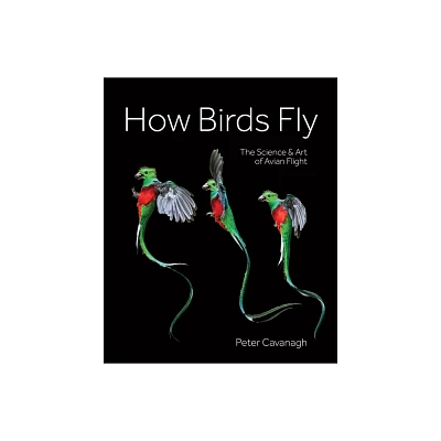 How Birds Fly - by Peter Cavanagh (Hardcover)