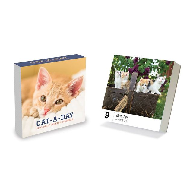 Tf Publishing 2023 Wall Calendar Space Cats - TF Publishing | Connecticut  Post Mall