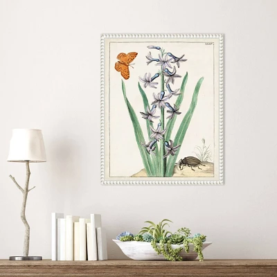 Amanti Art Dutch Florals I Framed Canvas Wall Art Print