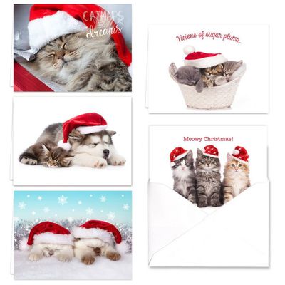 25ct Christmas Cats Greeting Cards - Masterpiece Studio