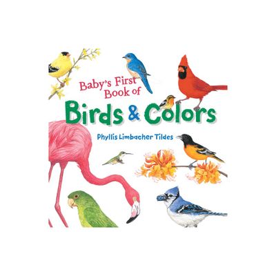 Babys First Book of Birds & Colors - by Phyllis Limbacher Tildes (Board Book)