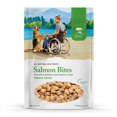 Caledon Farms Freeze Dried Dog Treat with Salmon Bites - 3.17oz