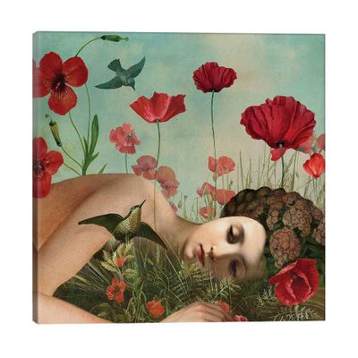 In The Poppy Field by Catrin WelzStein Unframed Wall Canvas