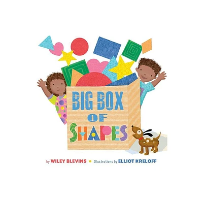 Big Box of Shapes - (Basic Concepts) by Wiley Blevins (Paperback)