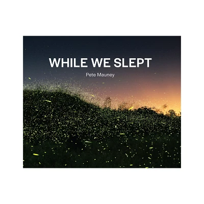 While We Slept - by Pete Mauney (Paperback)