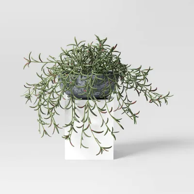 10 Fish Hook Sedum Artificial Plant - Threshold designed with Studio McGee