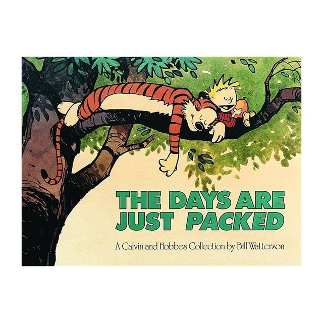 The Days Are Just Packed - (Calvin and Hobbes) by Bill Watterson (Paperback)