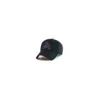 NHL Arizona Coyotes Black Money Maker Snap Hat