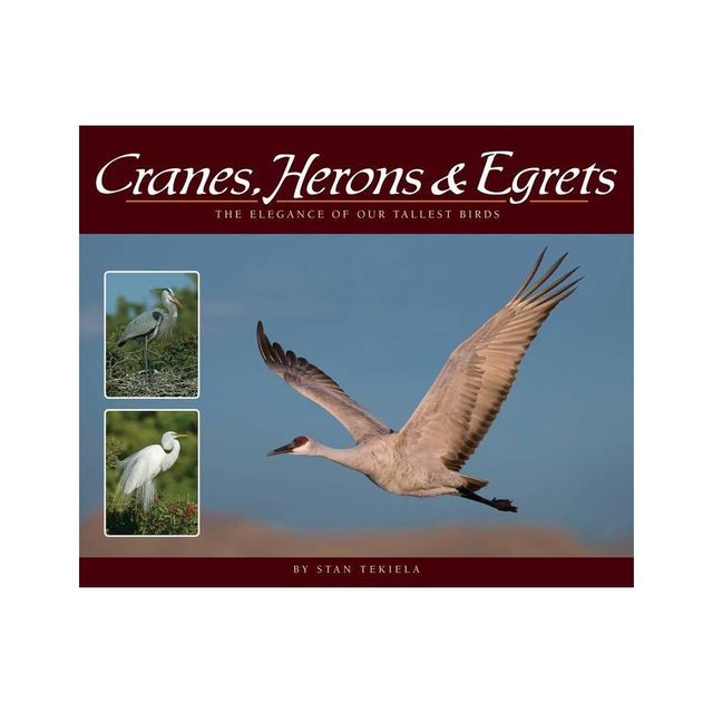 Cranes, Herons & Egrets - (Wildlife Appreciation) by Stan Tekiela (Paperback)