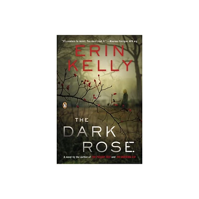 The Dark Rose - by Erin Kelly (Paperback)