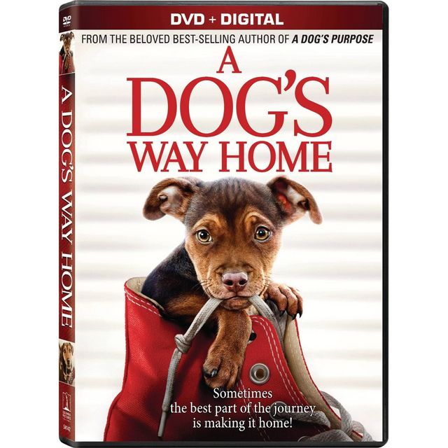 A Dogs Way Home (DVD)