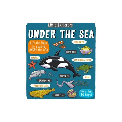 Little Explorers: Under the Sea - by Little Bee Books (Hardcover)