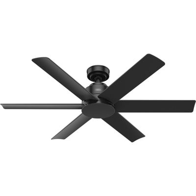 52 Kennicott Outdoor Ceiling Fan - Hunter Fan: -Rated, 6