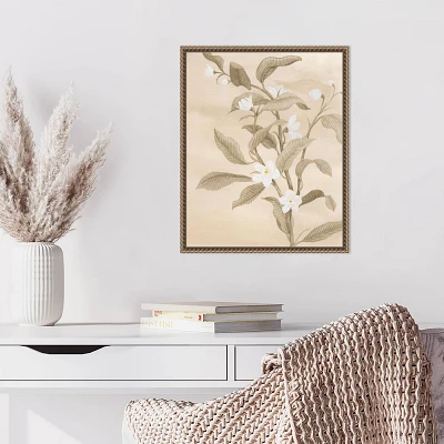 Amanti Art Sepia Orange Blossom Sketch II by Grace Popp Framed Canvas Wall Art Print