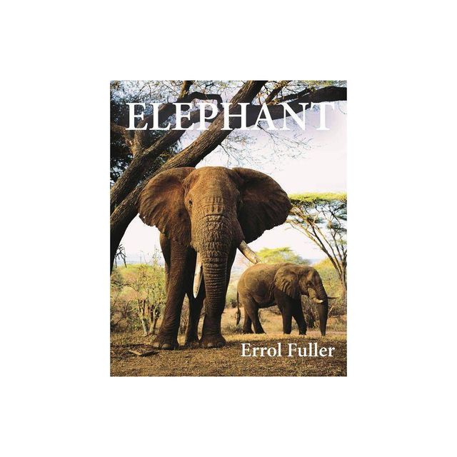 Elephant - by Errol Fuller (Hardcover)