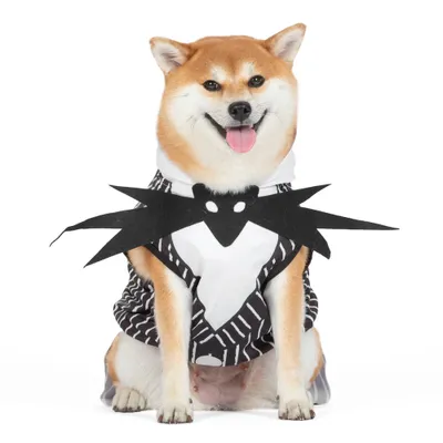 Warner Bros. Wonder Woman Halloween Dog Costume - L : Target