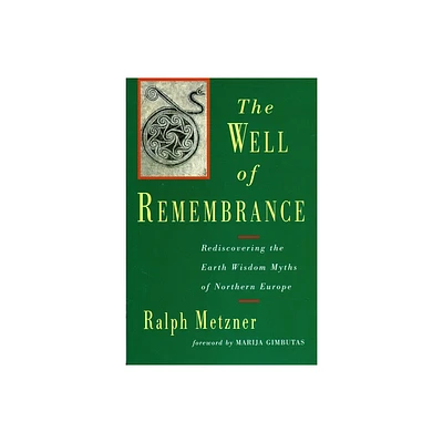 The Well of Remembrance - by Ralph Metzner (Paperback)