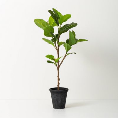 39 Faux Audrey Ficus Tree - Hearth & Hand with Magnolia: Indoor Floor Plant, Unlit Artificial Ficus with Pot