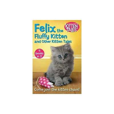 Felix the Fluffy Kitten and Other Kitten Tales - by Jenny Dale (Paperback)