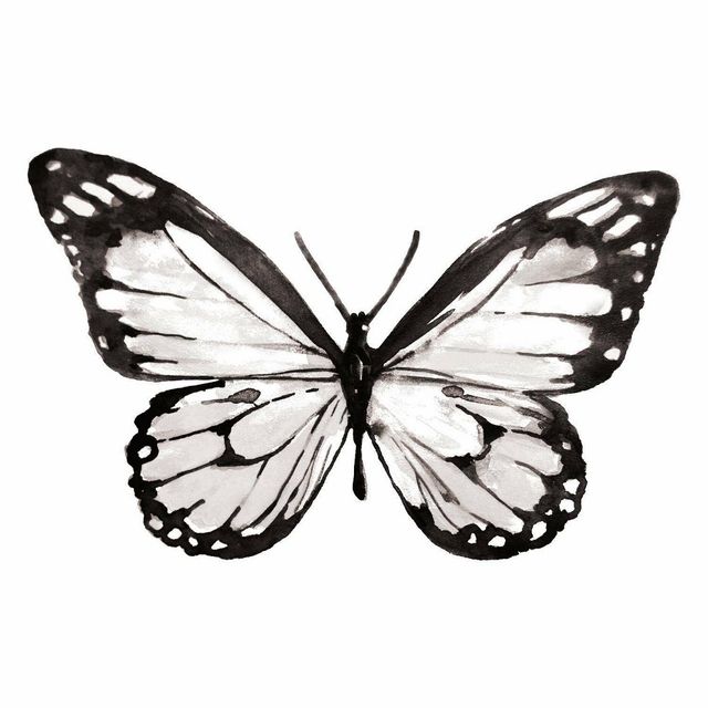 Butterfly Peel and Stick Giant Wall Decal - RoomMates: Vinyl Self-Adhesive for Bedroom, Office, Nursery