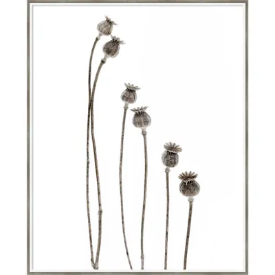 33 x 41 Last Years Flowering Poppies by Lotte Gronkjar Wood Framed Wall Art Print - Amanti Art: Vertical Botanical Decor